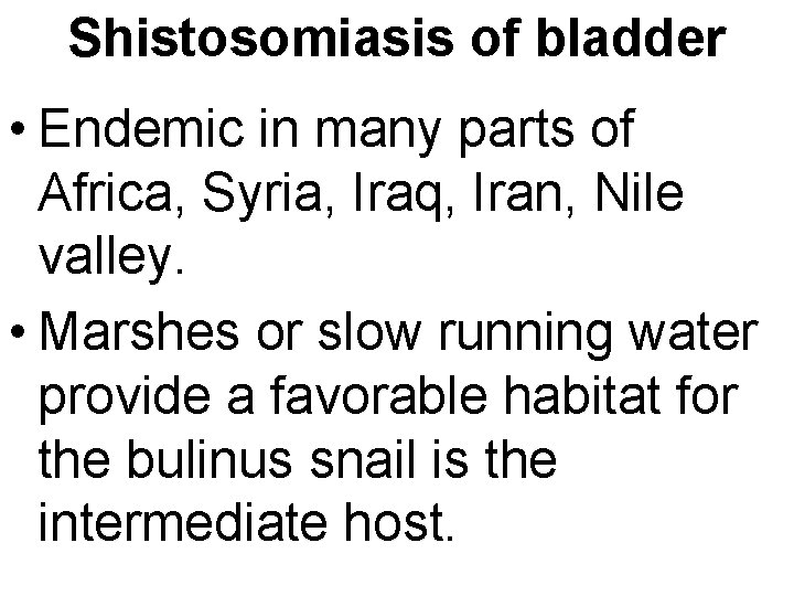 Shistosomiasis of bladder • Endemic in many parts of Africa, Syria, Iraq, Iran, Nile