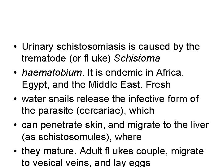  • Urinary schistosomiasis is caused by the trematode (or fl uke) Schistoma •