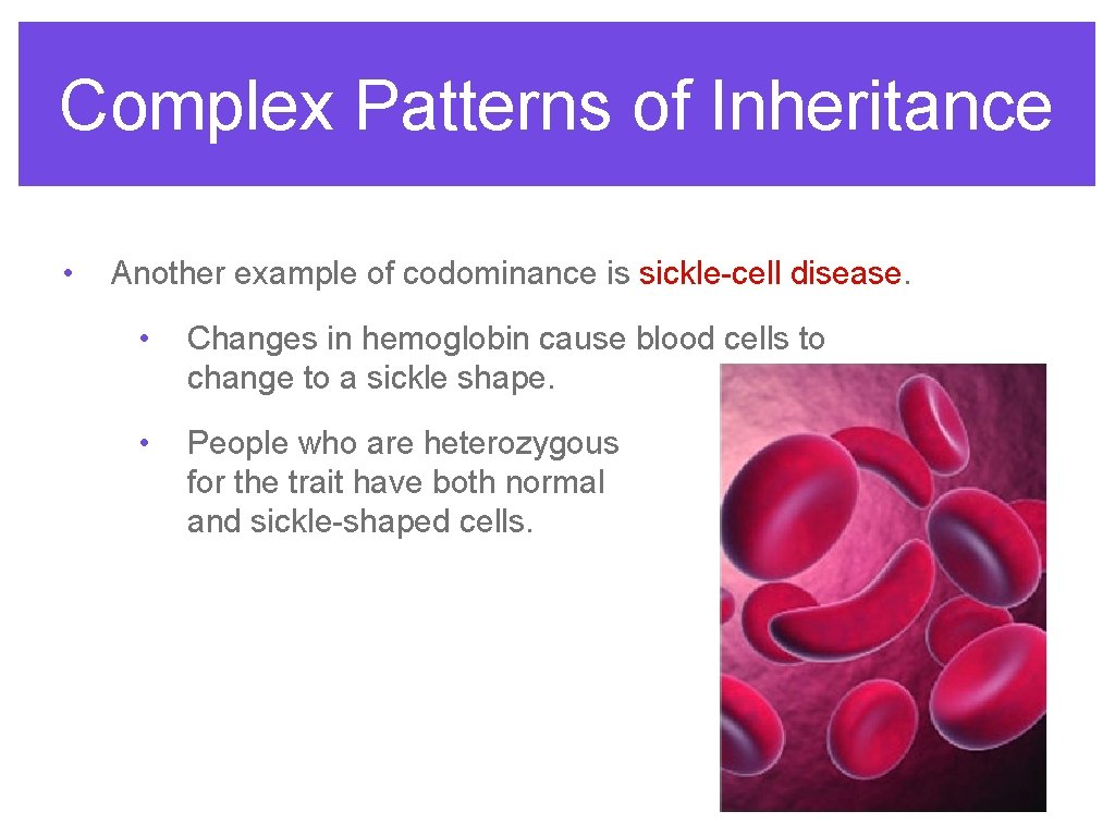 Complex Patterns of Inheritance • Another example of codominance is sickle-cell disease. • Changes