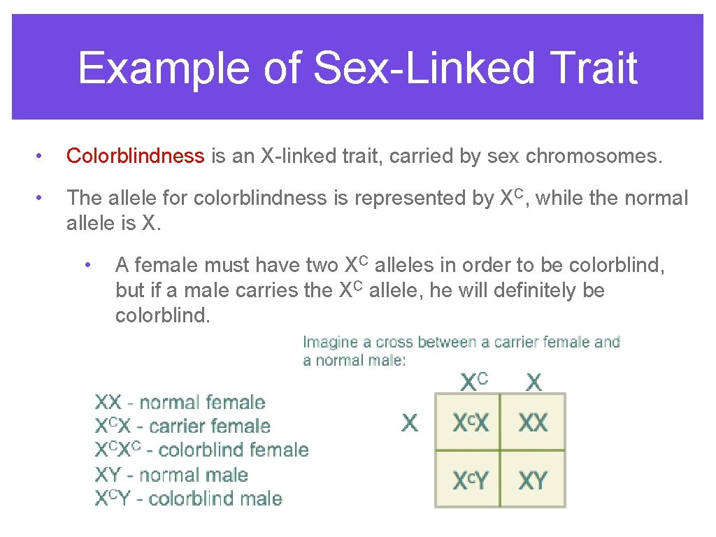 Example of Sex-Linked Trait • Colorblindness is an X-linked trait, carried by sex chromosomes.