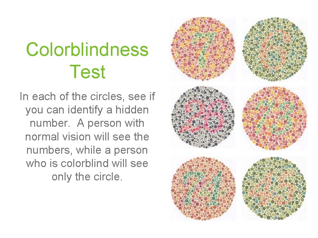 Colorblindness Test In each of the circles, see if you can identify a hidden