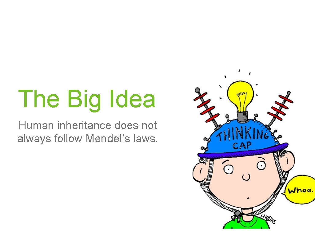 The Big Idea Human inheritance does not always follow Mendel’s laws. 