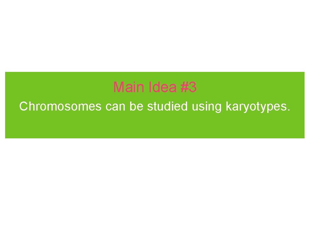 Main Idea #3 Chromosomes can be studied using karyotypes. 