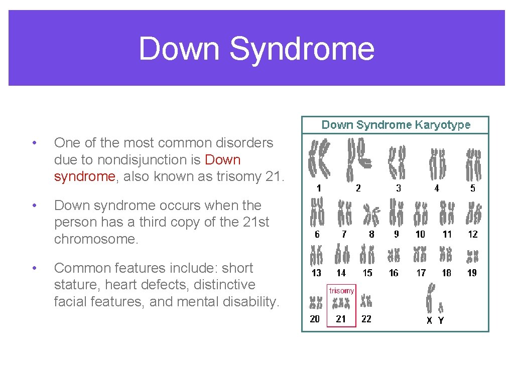 Down Syndrome • One of the most common disorders due to nondisjunction is Down