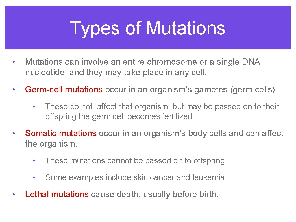 Types of Mutations • Mutations can involve an entire chromosome or a single DNA