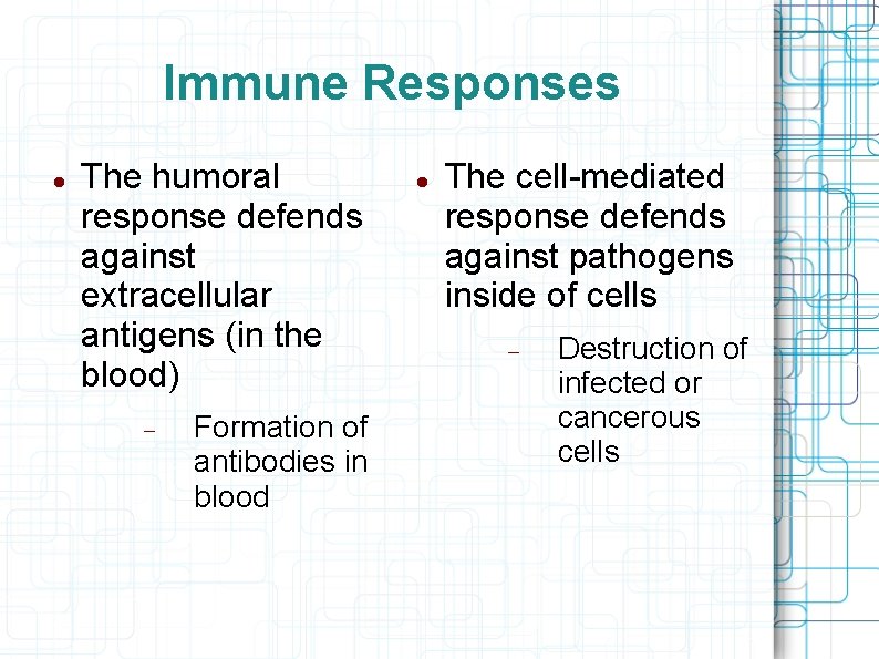 Immune Responses The humoral response defends against extracellular antigens (in the blood) Formation of