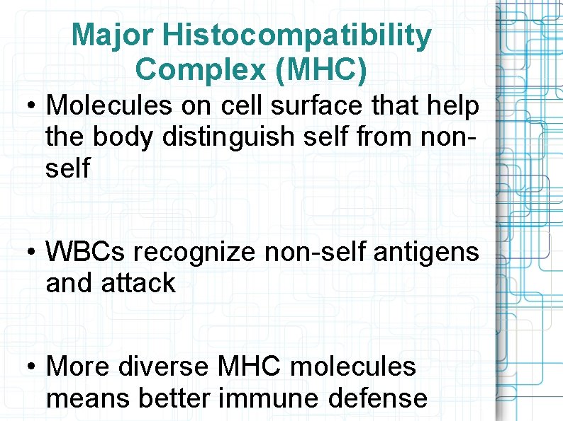 Major Histocompatibility Complex (MHC) • Molecules on cell surface that help the body distinguish