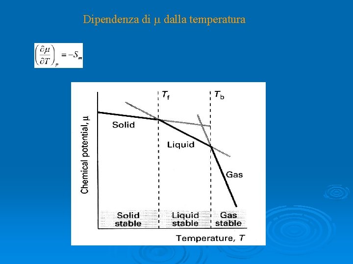 Dipendenza di m dalla temperatura 