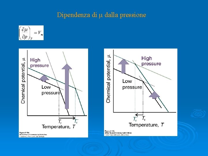 Dipendenza di m dalla pressione 