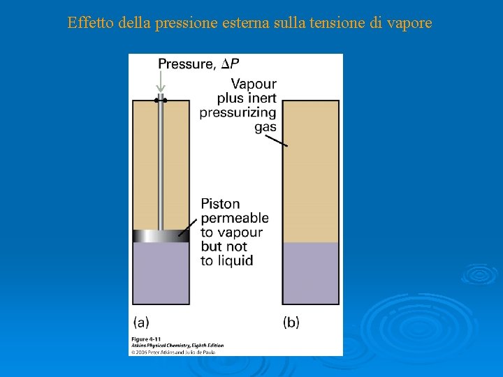 Effetto della pressione esterna sulla tensione di vapore 