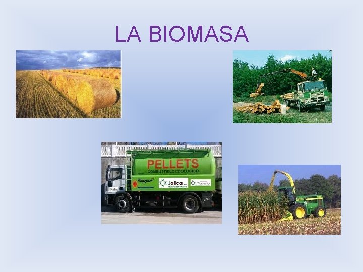 LA BIOMASA 