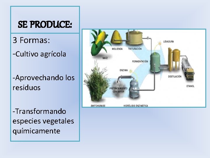 SE PRODUCE: 3 Formas: -Cultivo agrícola -Aprovechando los residuos -Transformando especies vegetales químicamente 