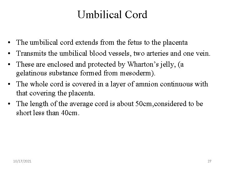 Umbilical Cord • The umbilical cord extends from the fetus to the placenta •