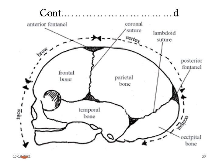 Cont. ……………d 10/17/2021 30 