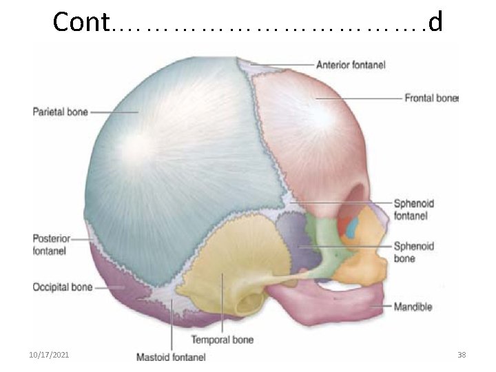 Cont. ………………. d 10/17/2021 38 
