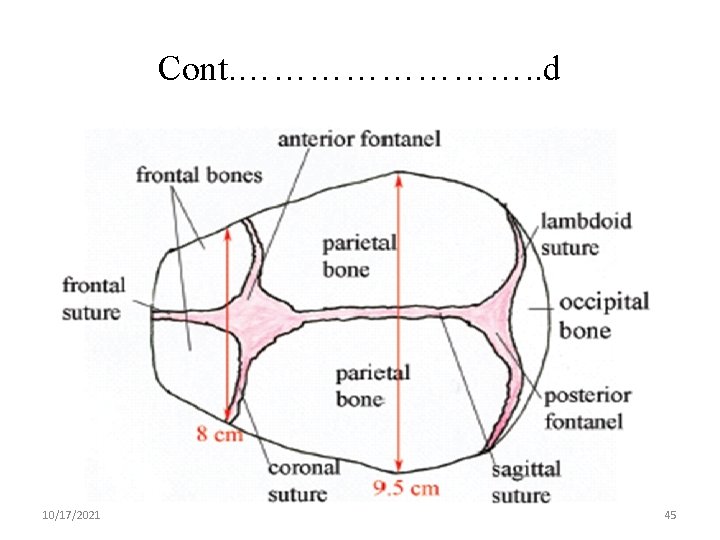 Cont. …………. . d 10/17/2021 45 
