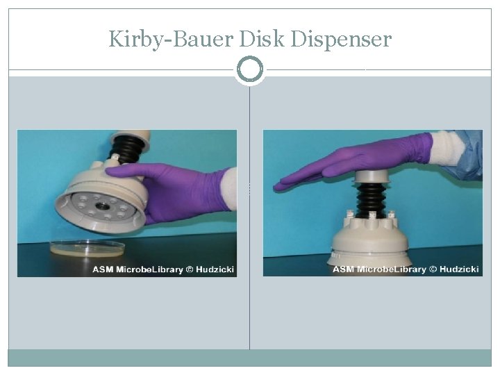 Kirby-Bauer Disk Dispenser 