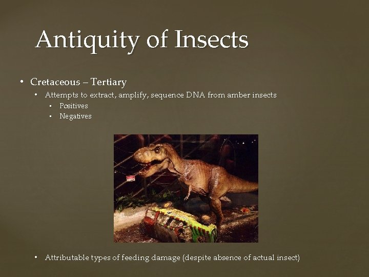 Antiquity of Insects • Cretaceous – Tertiary • Attempts to extract, amplify, sequence DNA