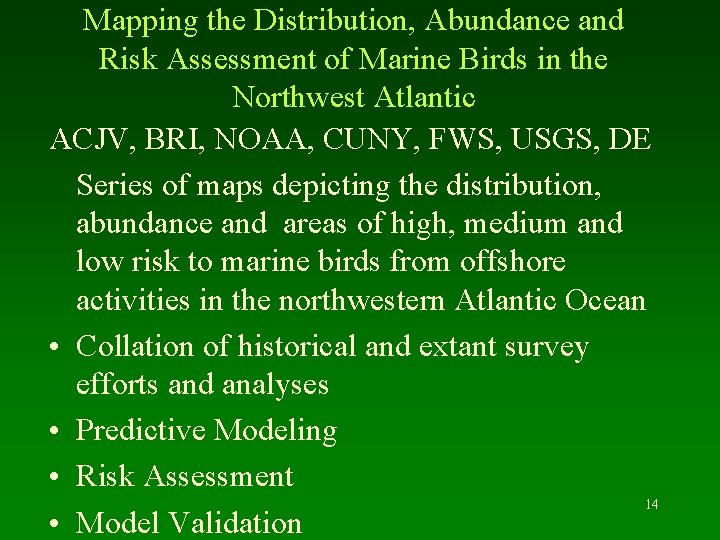 Mapping the Distribution, Abundance and Risk Assessment of Marine Birds in the Northwest Atlantic