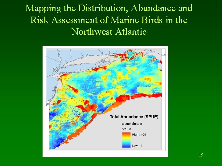 Mapping the Distribution, Abundance and Risk Assessment of Marine Birds in the Northwest Atlantic