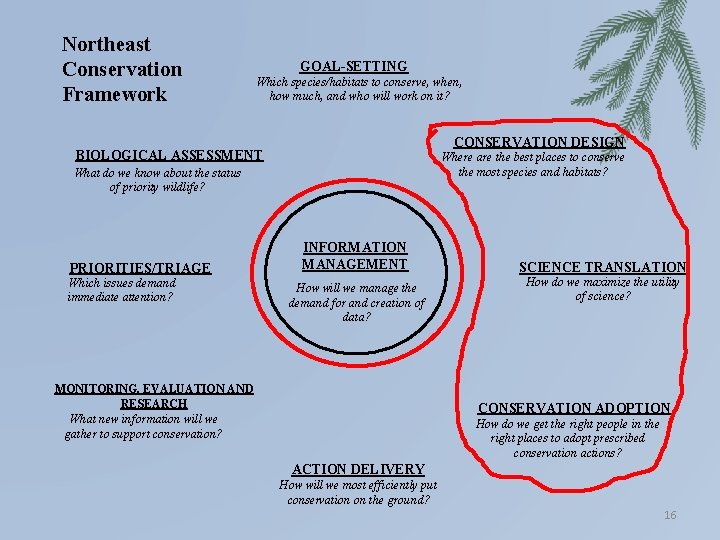 Northeast Conservation Framework GOAL-SETTING Which species/habitats to conserve, when, how much, and who will
