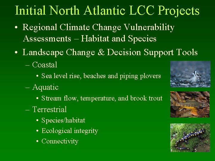Initial North Atlantic LCC Projects • Regional Climate Change Vulnerability Assessments – Habitat and