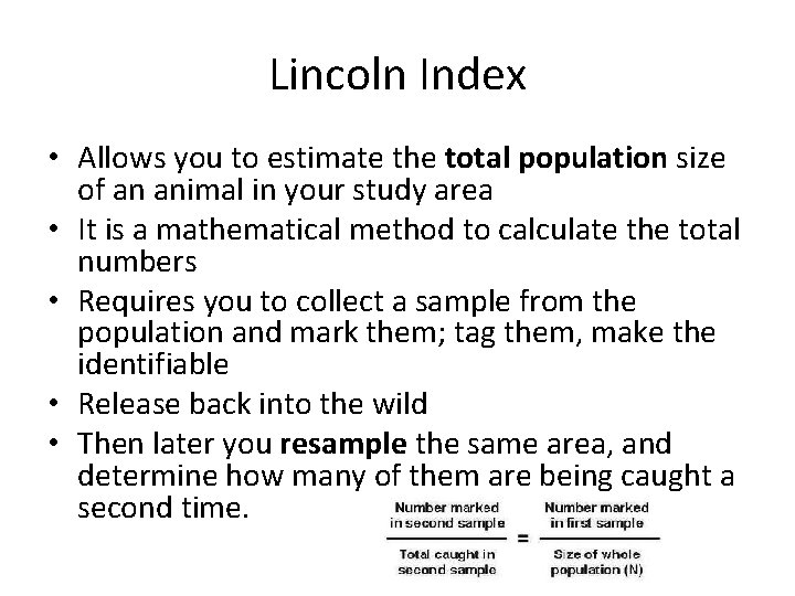 Lincoln Index • Allows you to estimate the total population size of an animal