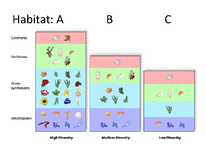 Habitat: A B C 