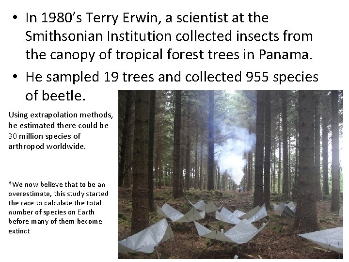  • In 1980’s Terry Erwin, a scientist at the Smithsonian Institution collected insects