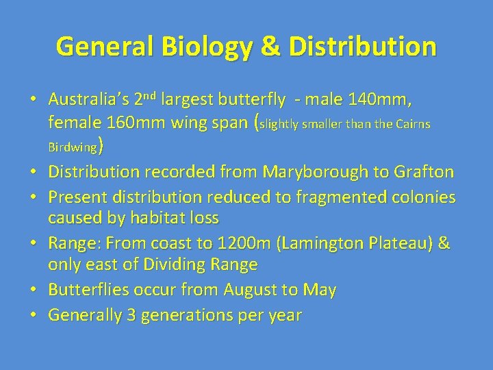 General Biology & Distribution • Australia’s 2 nd largest butterfly - male 140 mm,