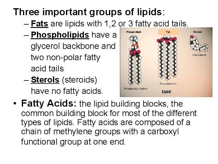 Three important groups of lipids: – Fats are lipids with 1, 2 or 3