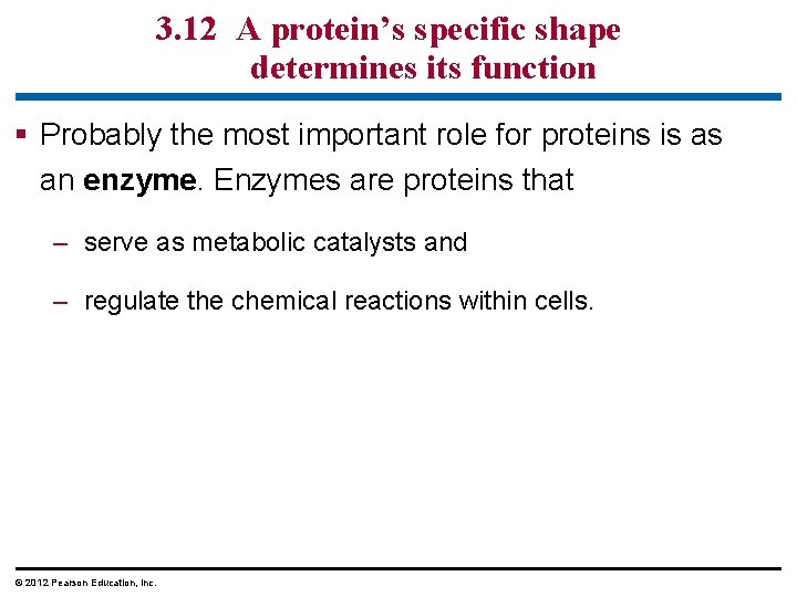 3. 12 A protein’s specific shape determines its function § Probably the most important