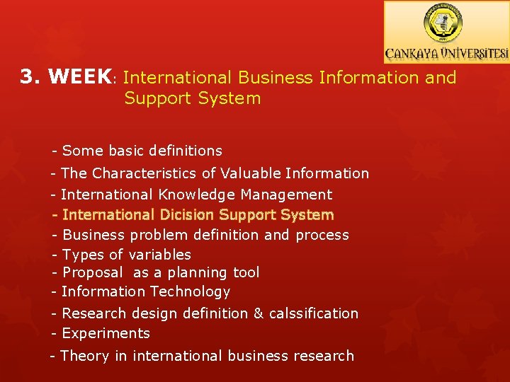 3. WEEK: International Business Information and Support System - Some basic definitions - The