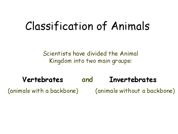 Classification of Animals Scientists have divided the Animal Kingdom into two main groups: Vertebrates