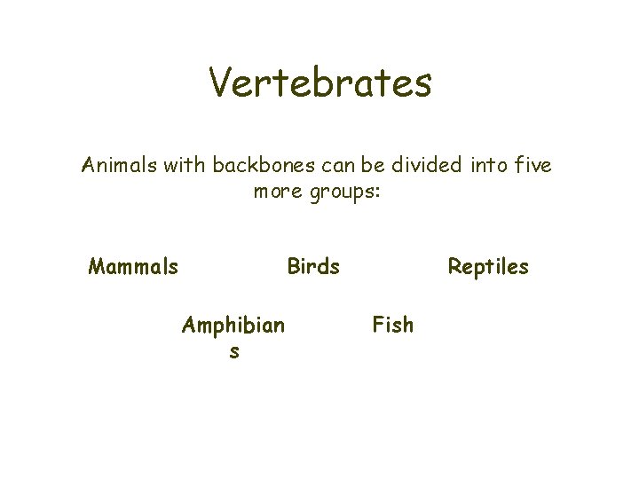 Vertebrates Animals with backbones can be divided into five more groups: Mammals Birds Amphibian