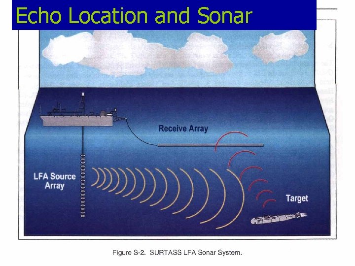 Echo Location and Sonar Echo Location and Sonar