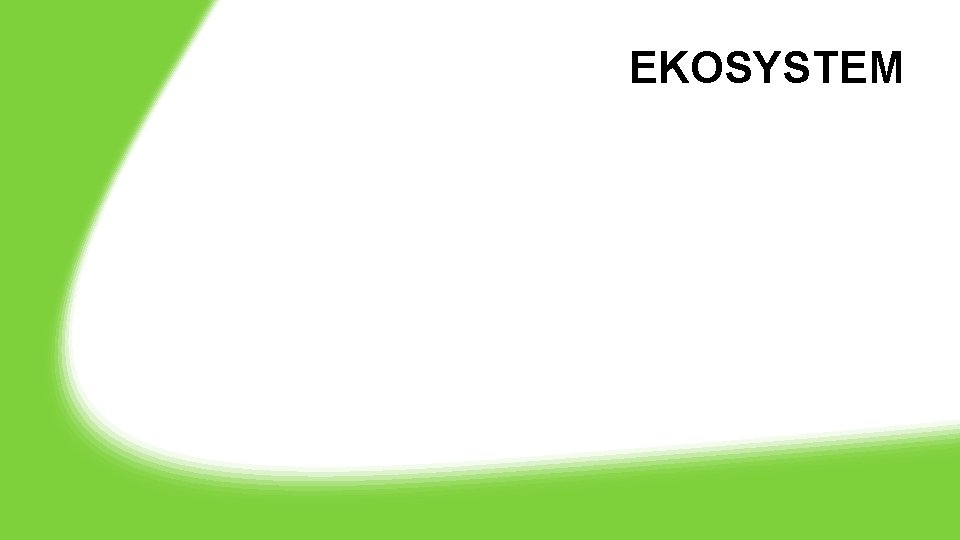 EKOSYSTEM 