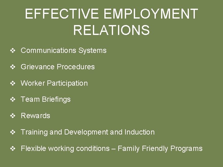 EFFECTIVE EMPLOYMENT RELATIONS v Communications Systems v Grievance Procedures v Worker Participation v Team
