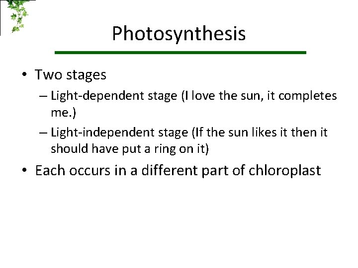 Photosynthesis • Two stages – Light-dependent stage (I love the sun, it completes me.