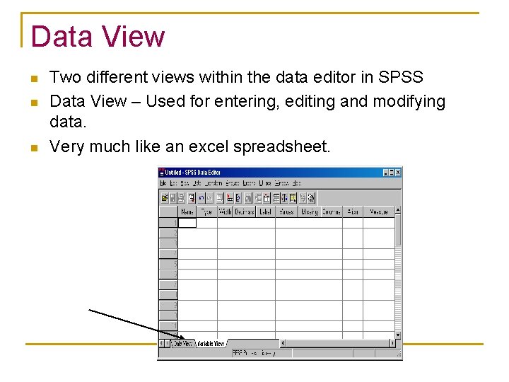 Data View n n n Two different views within the data editor in SPSS