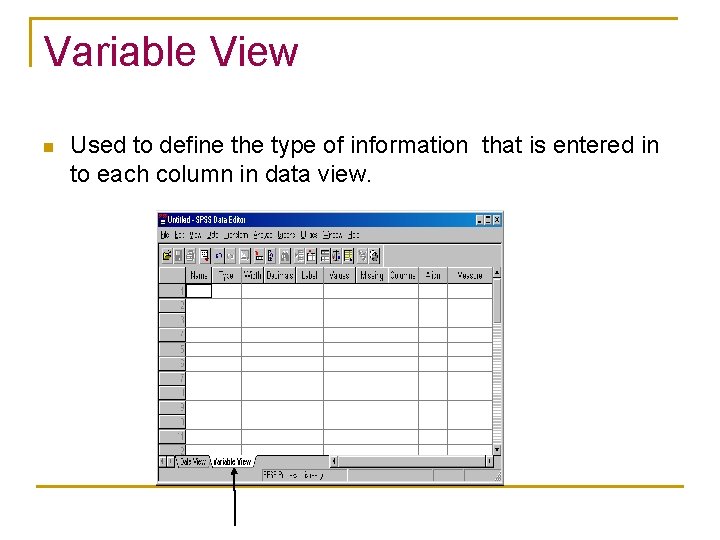 Variable View n Used to define the type of information that is entered in
