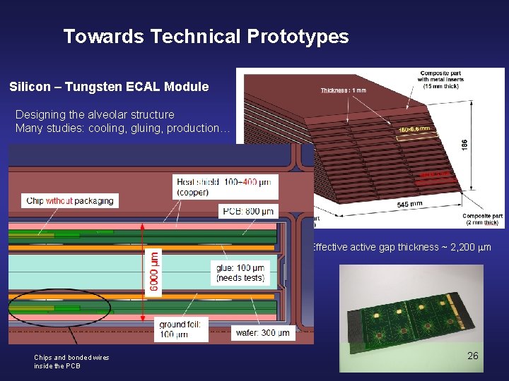 Towards Technical Prototypes Silicon – Tungsten ECAL Module Designing the alveolar structure Many studies: