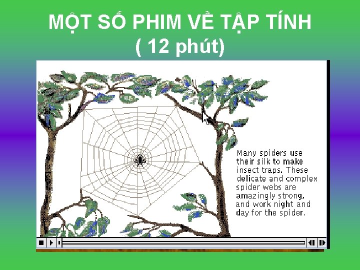 MỘT SỐ PHIM VỀ TẬP TÍNH ( 12 phút) 