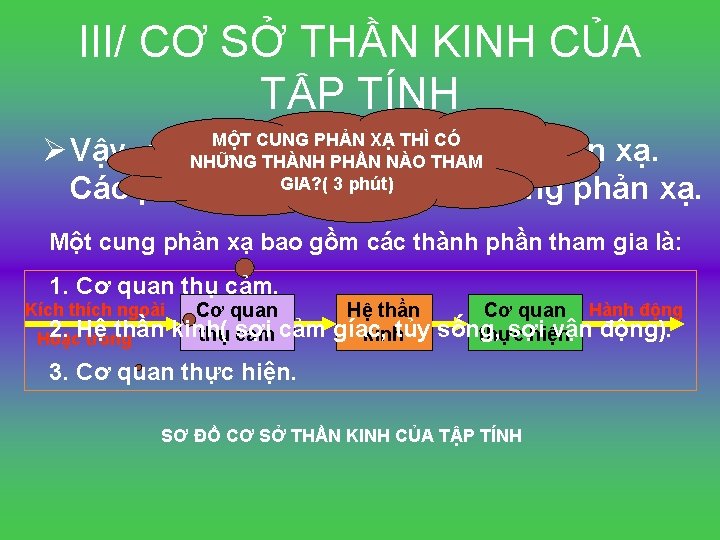 III/ CƠ SỞ THẦN KINH CỦA TẬP TÍNH MỘT CUNG PHẢN XẠ THÌ CÓ