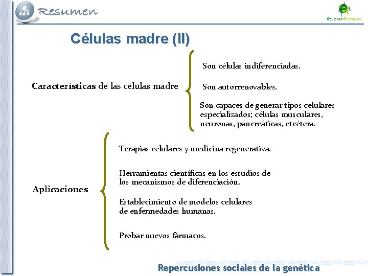 Células madre (II) Son células indiferenciadas. Características de las células madre Son autorrenovables. Son
