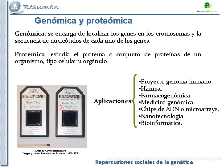 Genómica y proteómica Genómica: se encarga de localizar los genes en los cromosomas y