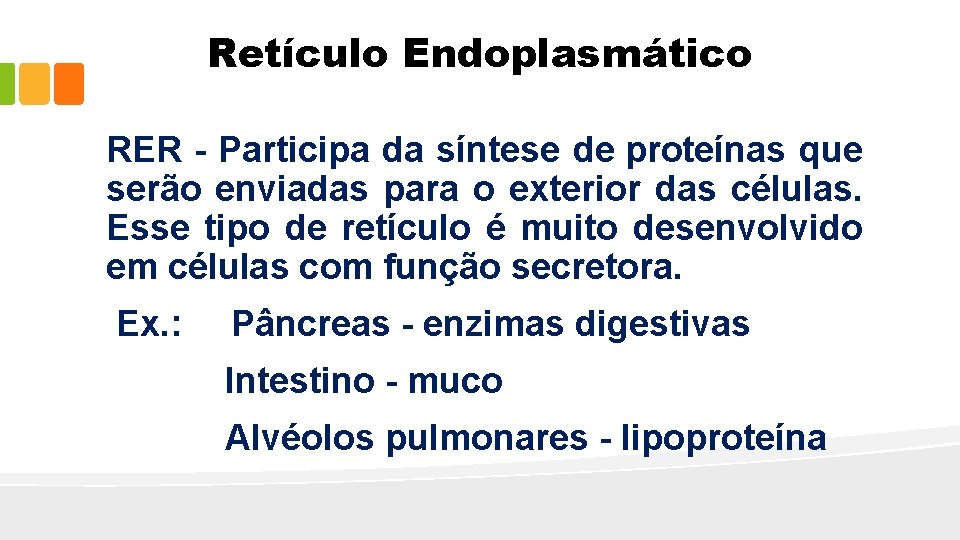 Retículo Endoplasmático RER - Participa da síntese de proteínas que serão enviadas para o