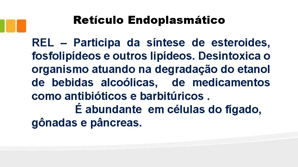 Retículo Endoplasmático REL – Participa da síntese de esteroides, fosfolipídeos e outros lipídeos. Desintoxica