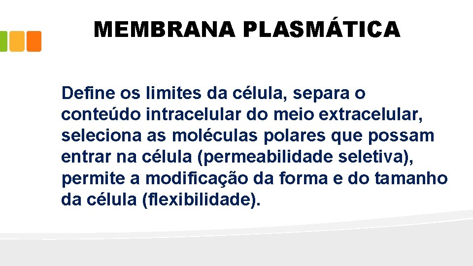 MEMBRANA PLASMÁTICA Define os limites da célula, separa o conteúdo intracelular do meio extracelular,