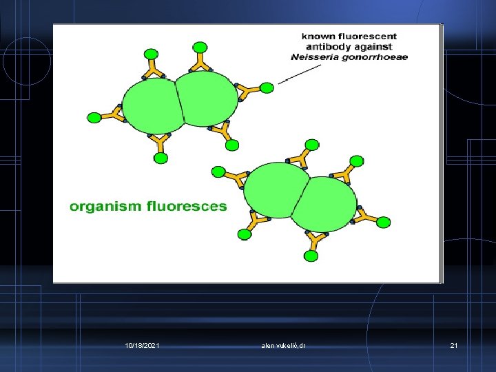 10/18/2021 alen vukelić, dr 21 